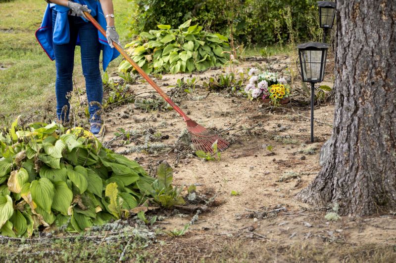 Lawn Clean Up Service