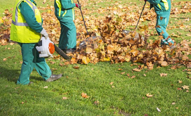 Leaf Blowing in Yard