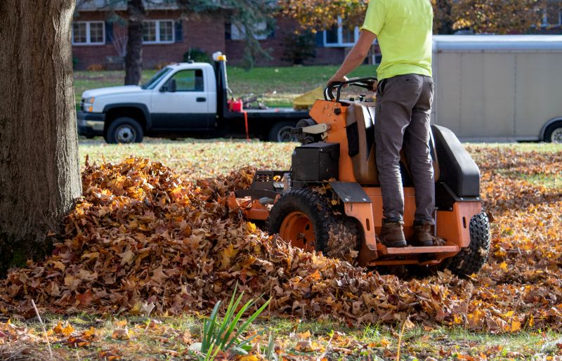 Fall Lawn Cleanup Service detail