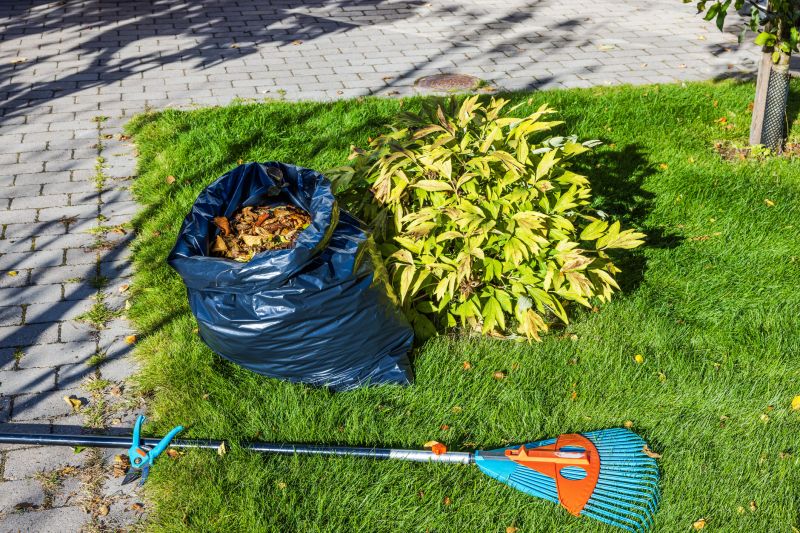 Lawn Cleanup Service