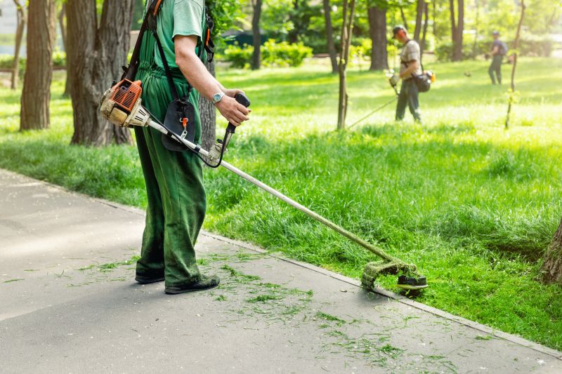 Lawn Maintenance Experts