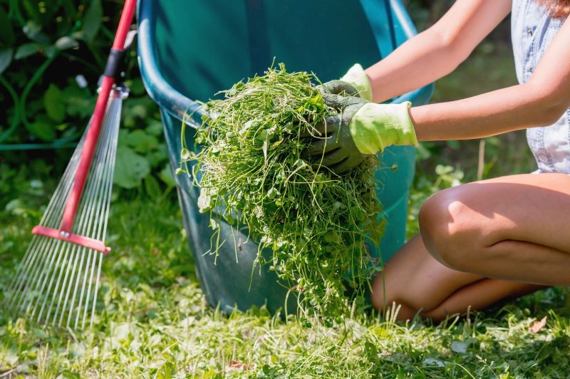 Garden and Yard Clean Up Services