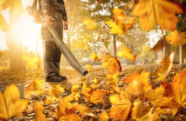 Leaf Blowing Service in Battle Ground