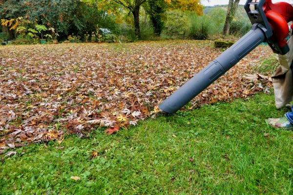 Leaf Vacuuming Service in Battle Ground