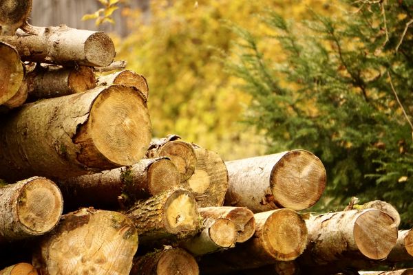 Wood Pile Removal in Battle Ground