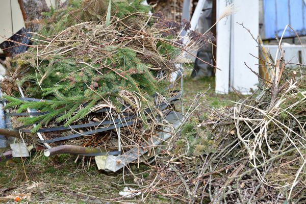 Yard Debris Removal in Battle Ground