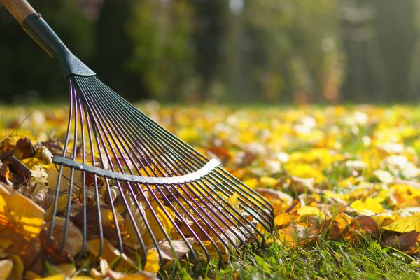 Leaf Raking Service in Battle Ground