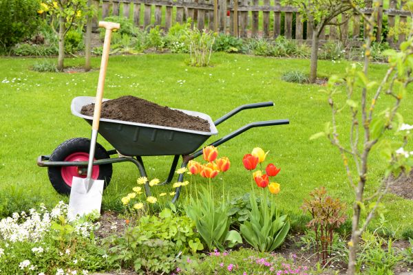 Spring Yard Cleanup in Battle Ground