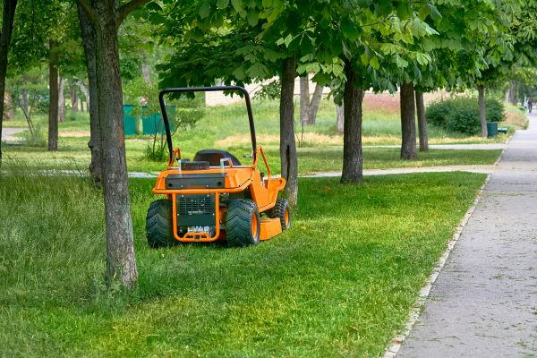 Landscaping Cleanup Service in Battle Ground
