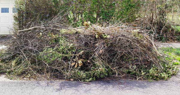 Tree Limb Cleanup in Battle Ground