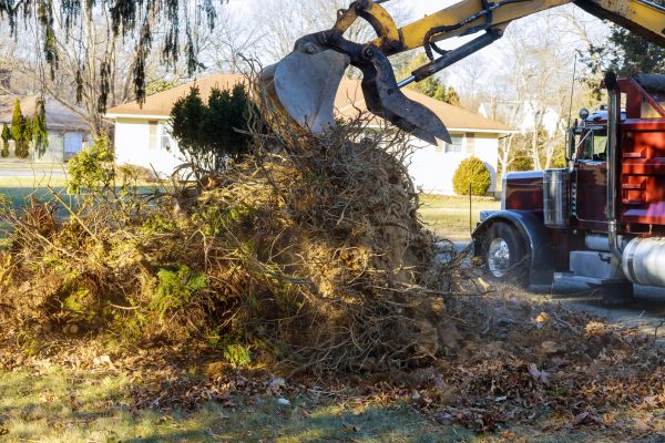 Storm Debris Removal in Battle Ground
