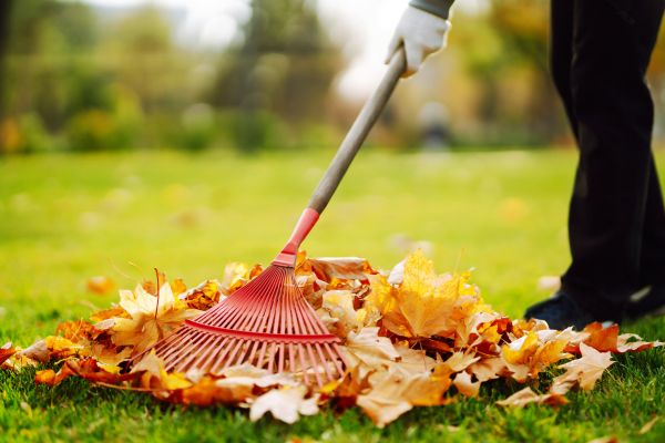 Ditch Leaf Removal in Battle Ground