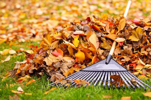 Yard Leaf Removal in Battle Ground
