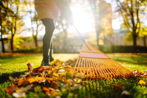 Leaves Raking in Battle Ground