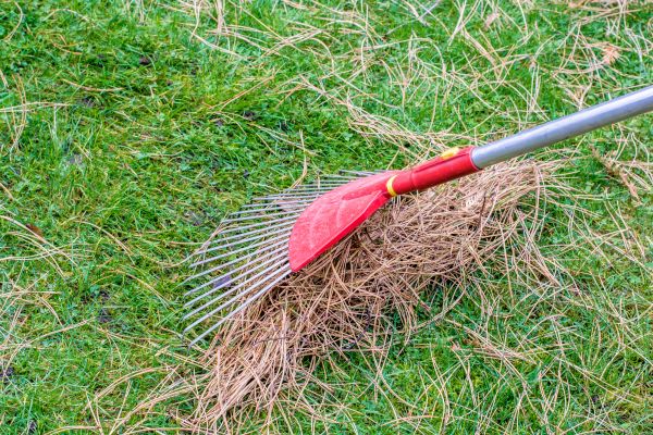 Yard Raking in Battle Ground