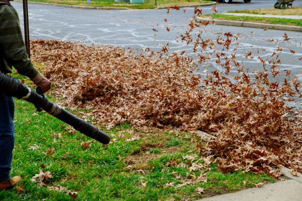 Garden Leaf Removal in Battle Ground