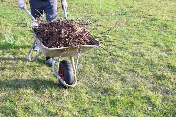 Yard Brush Removal in Battle Ground