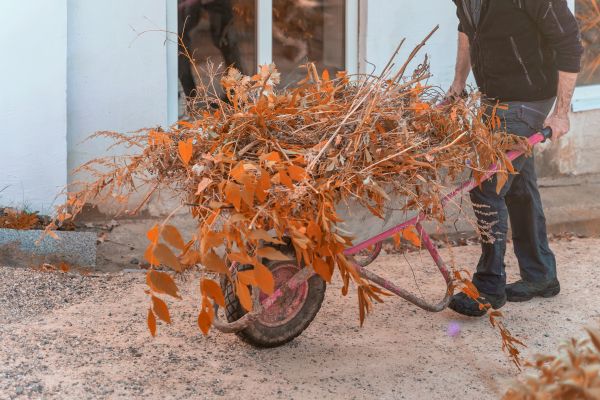 Lawn Debris Cleanup in Battle Ground