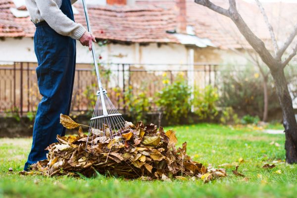 Spring Lawn Cleanup in Battle Ground