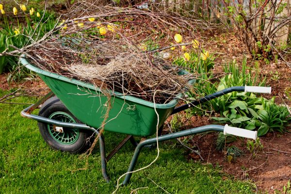 Lawn Waste Removal in Battle Ground