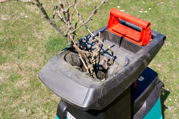 Brush Cleanup Service in Battle Ground