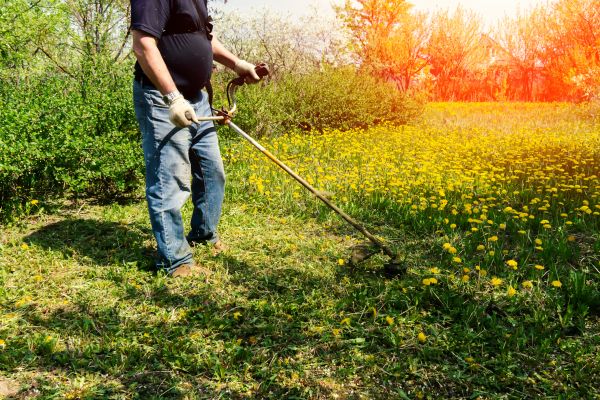 Yard Clearing Service in Battle Ground