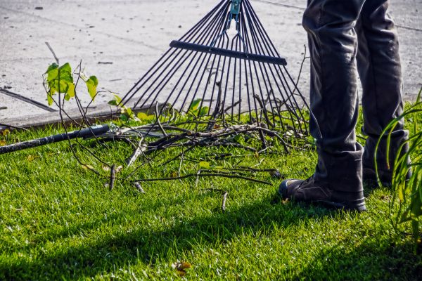 Yard Debris Cleanup in Battle Ground