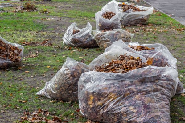 Leaf Pile Disposal in Battle Ground